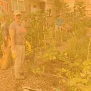 Lees meer over het artikel Tijdelijke huur, permanente onrust: het verhaal van Ashadevie