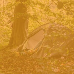 Lees meer over het artikel Statement: ten aanzien van de implementatie van de rechtentool